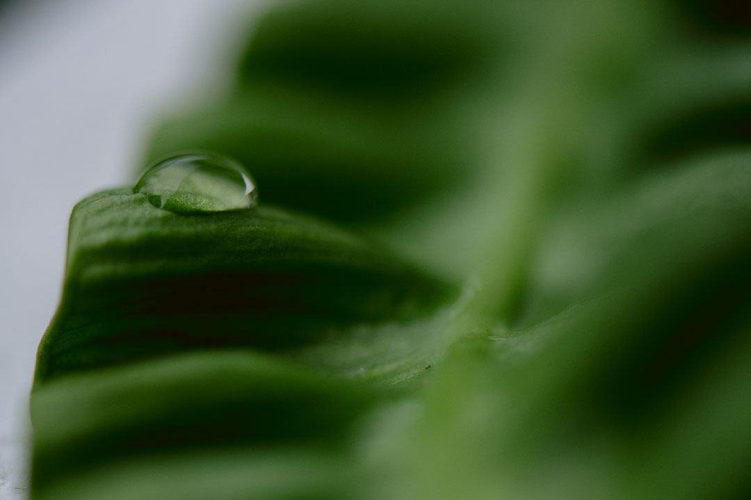 green-energy-48 Elevando Pala Aerogenerador